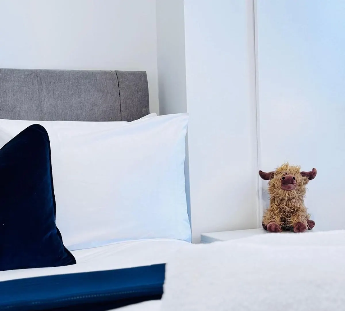 Elegant City Centre Apartment Edinburgh