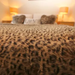 Haymarket Apartment